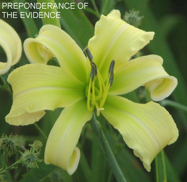 PREPONDERANCE OF THE EVIDENCE